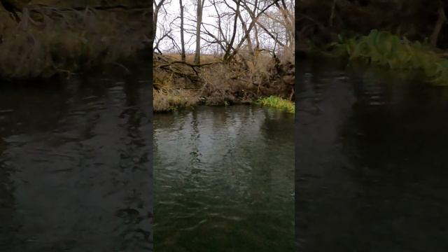 Прогулка на SUP по Северке смотреть онлайн