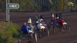 6-й Заезд. Приз "Квадрата". РАМЕНСКИЙ ИППОДРОМ 12 Октября 2024