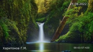 455.1. Самообман 24.08.2022 г