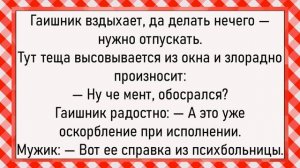 Как королеву разбойники заставили! Сборник свежих анекдотов! Юмор!