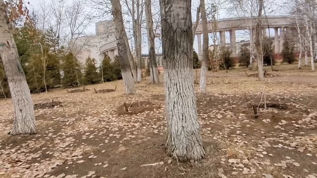 Миллиардер притворился бедным таксистом, чтобы найти настоящую любовь. То, что произошло дальше