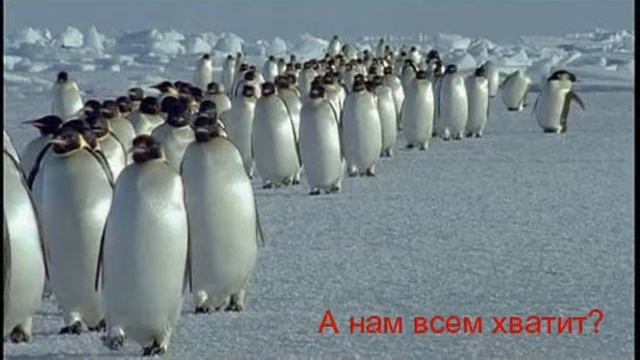 Конкурсная работа Александры Седаевой МЕДЬ 2013 смотреть онлайн