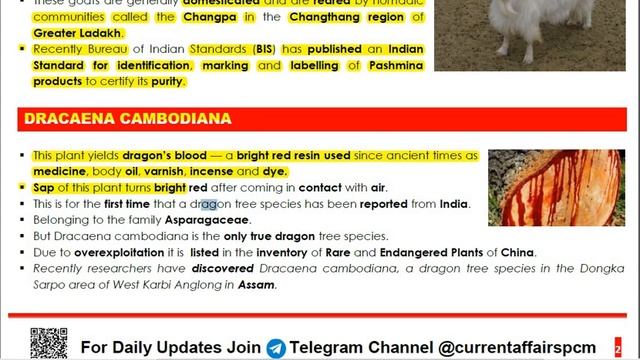 SPECIES IN NEWS(IN ENGLISH)( JULY 2019) смотреть онлайн