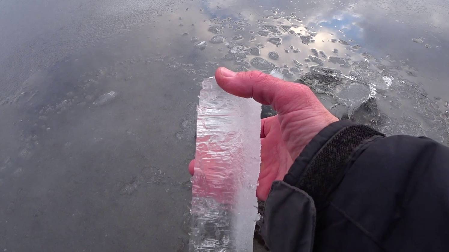 КАКОЙ СТАЛ ЛЁД? смотреть онлайн