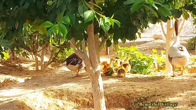 Iranian Village Cooking | Experience Authentic VillageLife In Mountains Iran