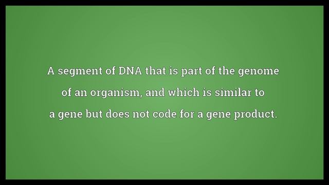 Pseudogene Meaning смотреть онлайн