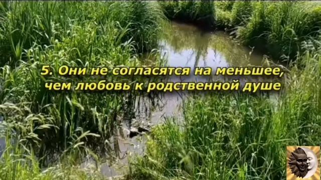 12 причин, почему старым душам тяжело найти ЛЮБОВЬ смотреть онлайн