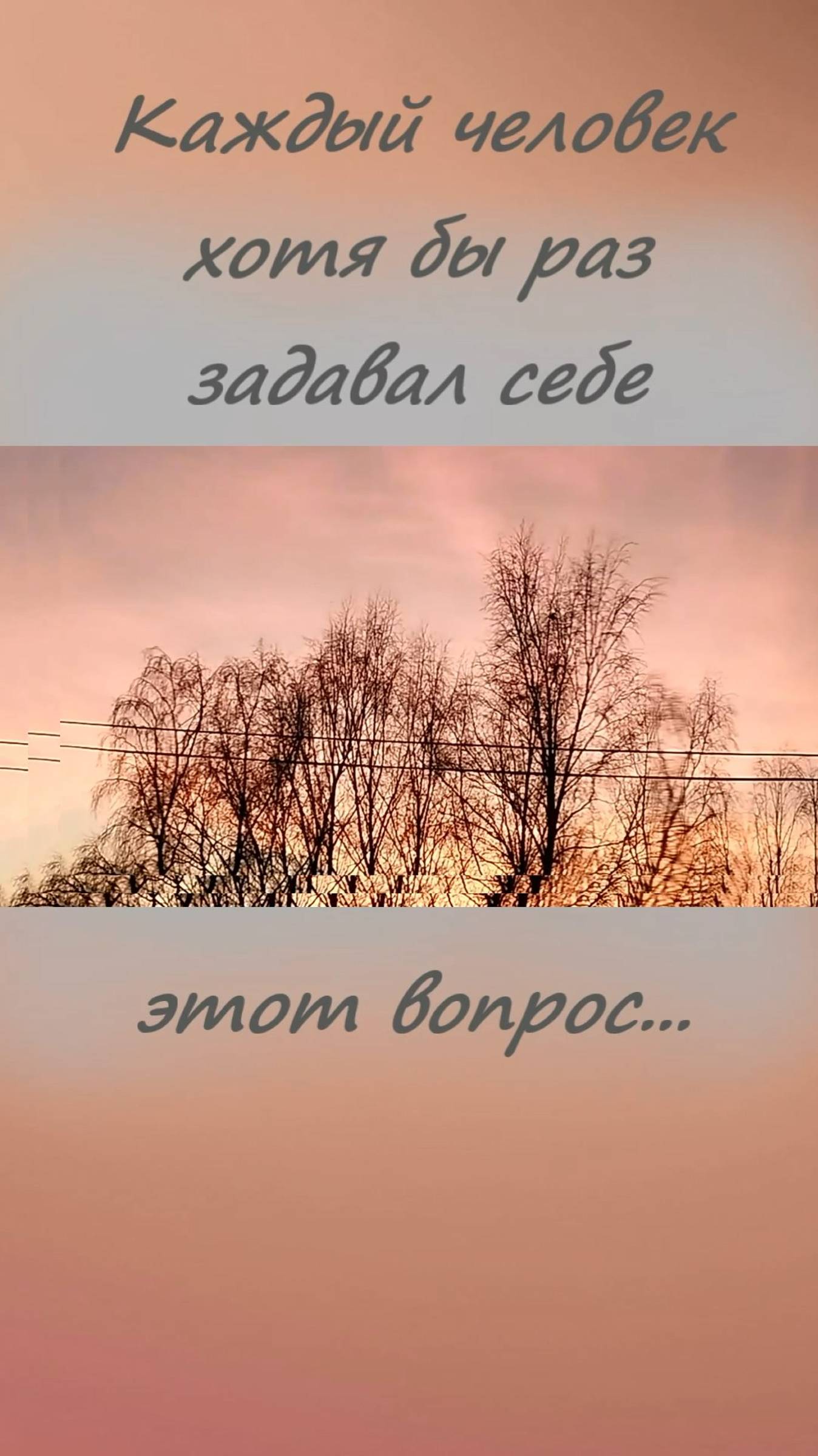 Жизнь со смыслом и без.. #shorts смотреть онлайн