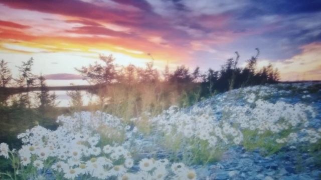 Жизнь_Как я сходила на почту и в суд. Продолжение эпопеи. Понимание матрицы. 07.09.2023 смотреть онлайн