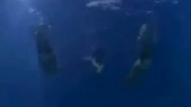 H2o Just Add Water - Where We Belong (Opening) смотреть онлайн