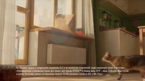 Реклама Kitekat