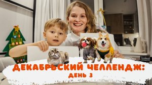 Декабрьские влоги: День 3. Корги больше не король мячиков. Сладкий поезд