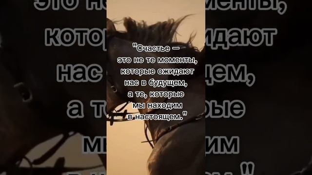 Лучшие афоризмы про жизнь, мудрые цитаты и красивые цитаты о жизни #мудрость #цитаты смотреть онлайн