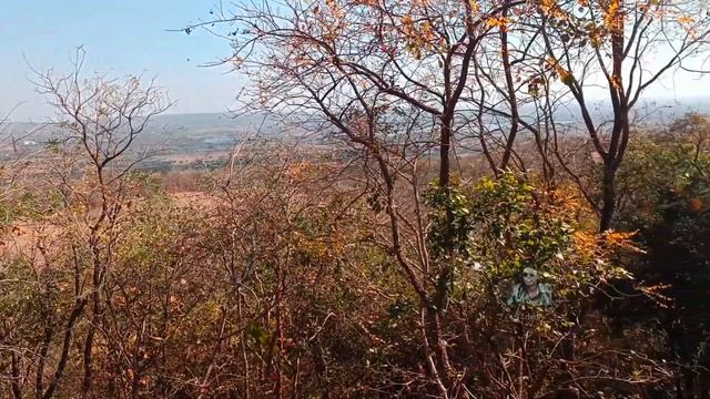 One Day trip to Ananthagiri Hills смотреть онлайн