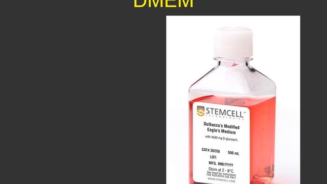 Background of cell culture смотреть онлайн