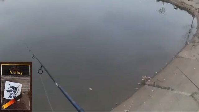 ПОИМКА НА СТИК🎣ОСНОВНОЙ ВОДОЁМ 🎣🐟🏆ТРИАЛ РУССКАЯ РЫБАЛКА 🎣 смотреть онлайн