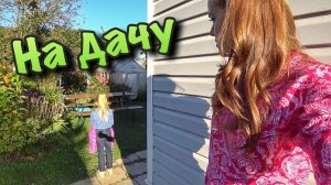 ВЛОГ Едем на дачу лечиться! 23.09.2017