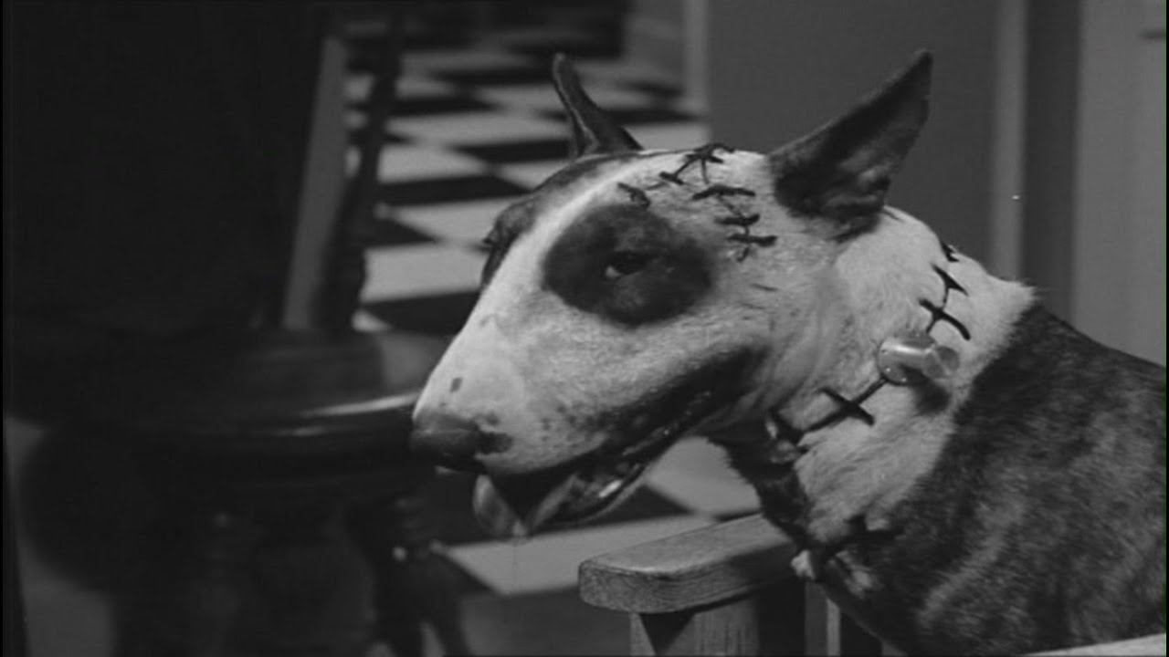 Франкенвини / Frankenweenie (1984) смотреть онлайн