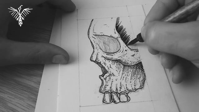 Skull illustration - quick warm up drawing смотреть онлайн