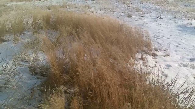 Охота на хитрого зайца смотреть онлайн