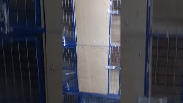 комбинированная клетка для кроликов на 9 мест смотреть онлайн