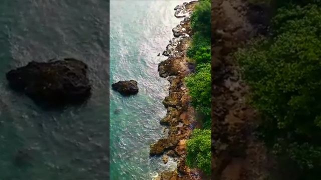 Жаркое лето. Дмитрий Шлапак смотреть онлайн