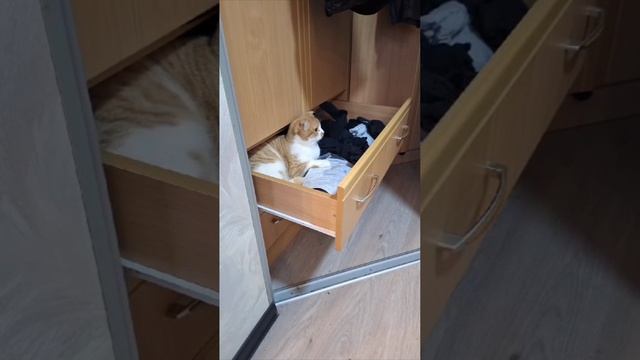 Нашёл прекрасное место