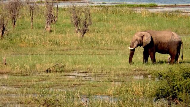 Explore Botswana - Botswana Tours - African Overland Tours смотреть онлайн
