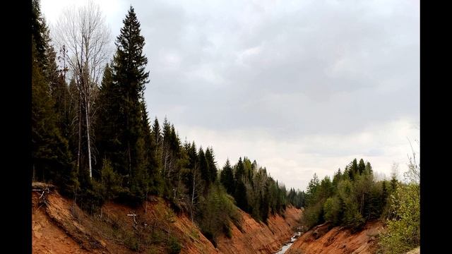 А Ахматова Муза #стихиопоэте #поэтысеребряноговека смотреть онлайн