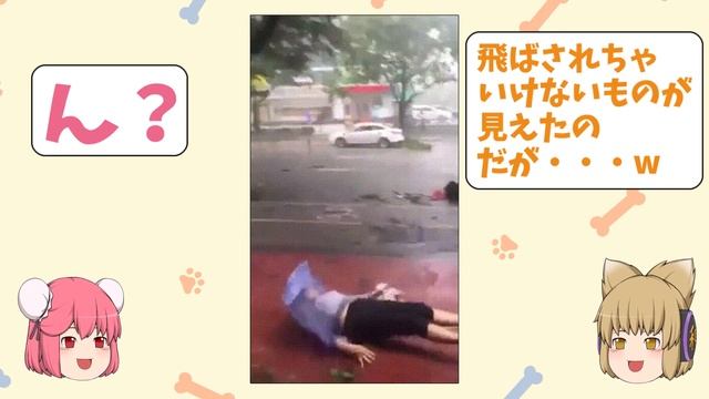 【神回】話題のgif画像が面白すぎてやばいから笑ったら風呂入れｗｗｗ【2ch面白い画像】【ゆっくり解説】#56 смотреть онлайн