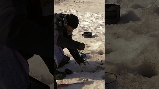 Атакует мотыля как зверь смотреть онлайн