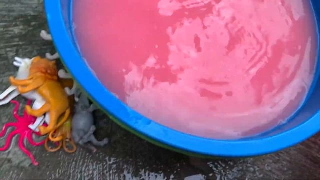 Membersihkan Lumpur Hewan Bintang Laut, Kepiting, Ikan Pari, Penyu, Kerbau, Cumi Cumi, Domba смотреть онлайн