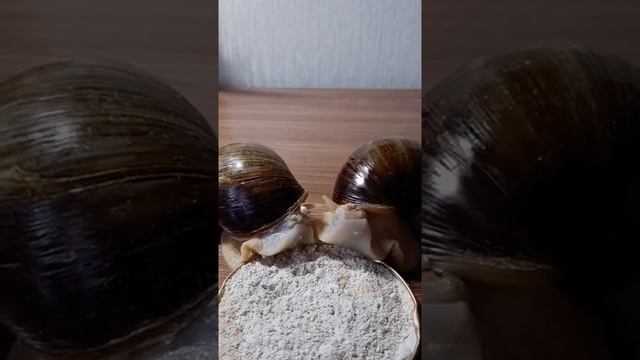 Мы с пацанами в столовке на перемене смотреть онлайн