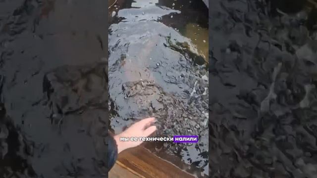 ⚡Новая услуга «Чан-парная на берегу водоема»⚡ смотреть онлайн