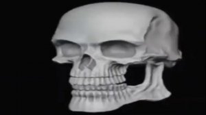 МЕМ ЧЕРЕП ( ШАБЛОН)