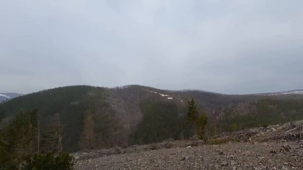 Охота на медведя в Прибайкалье