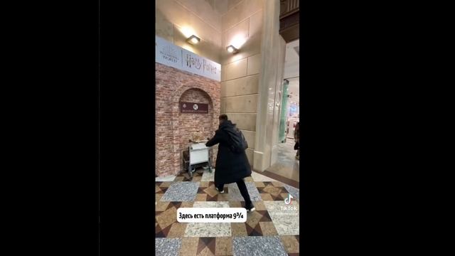 Подборка Гарри Поттера в тик ток (Видео взяты из открытых источников) смотреть онлайн