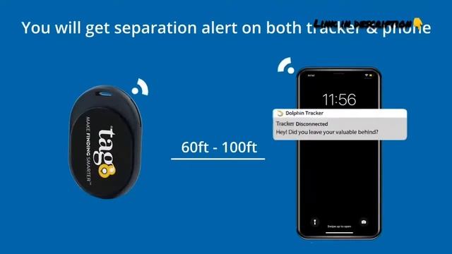 Dolphin Tracker In- APP Guide смотреть онлайн