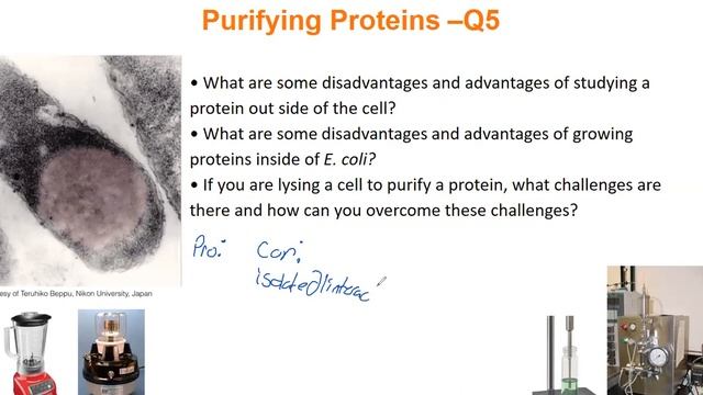 Biochem 1 Lecture 9 9/14 смотреть онлайн