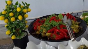 356.Турция.Кемер.Обзор отеля Valeri Beach Hotel- номер, еда, пляж.