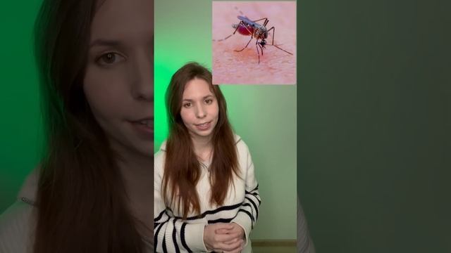ДЛЯ ЧЕГО НУЖНЫ КОМАРЫ? 🦟 #интересныефакты #нашапланета #природа #комар #лето смотреть онлайн