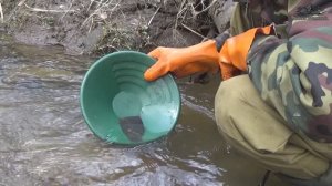 Золотая пыль (часть первая)