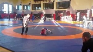 вольная борьба