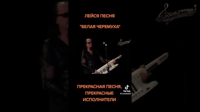 Белая Черепаха. 🎸❤️ смотреть онлайн