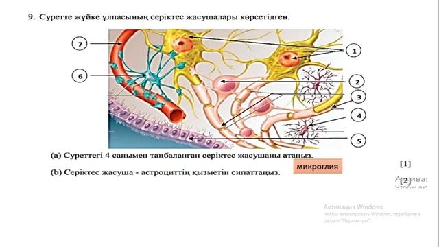 ТЖБ 2 ТОҚСАН 9 СЫНЫП БИОЛОГИЯ смотреть онлайн