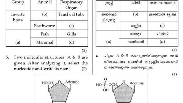 PLUS 1 / BIOLOGY / ANNUAL EXAM /KERALA SYLLABUS / QUESTION PAPER смотреть онлайн