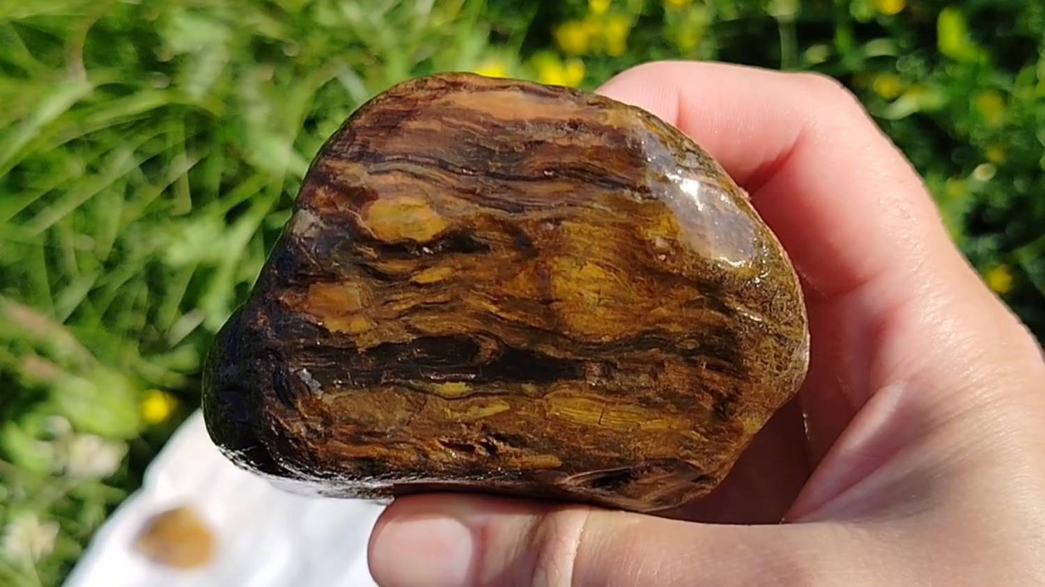 04.08.24 Поиск камней. Зеленое дерево, какие-то кристаллы и немного самоиронии ) смотреть онлайн