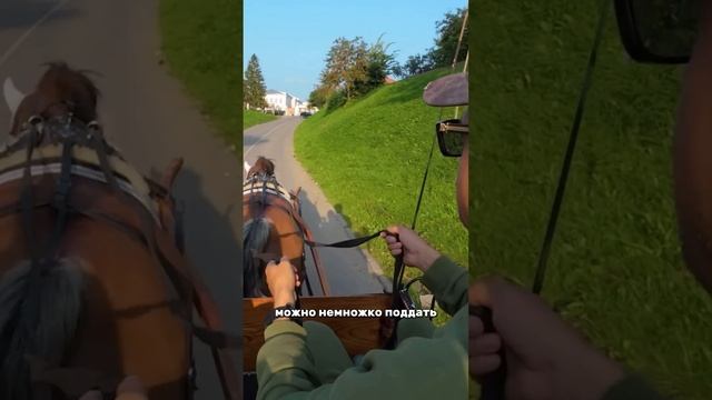 Теперь могу быть извозчиком смотреть онлайн