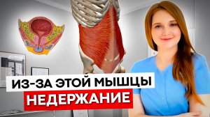 УПРАЖНЕНИЯ от недержания, выпирающего живота и опущения органов