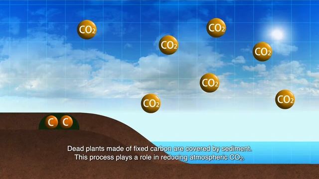 The Whole History Of The Earth And Life 　Part 12: Future Of The Earth